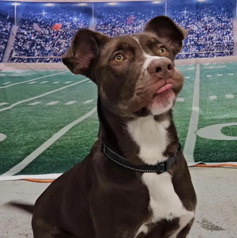 Lady Bug thumbnail 5