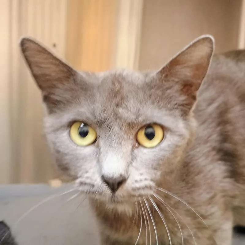Claudia thumbnail 2
