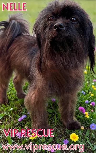 Nelle And Hannah  thumbnail 2