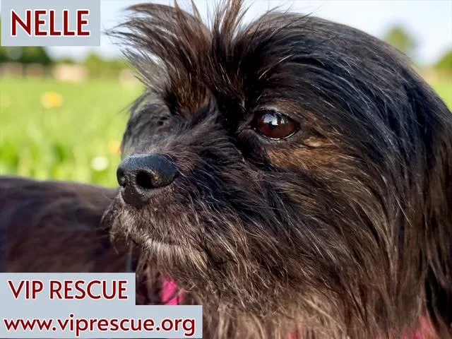 Nelle And Hannah  thumbnail 3