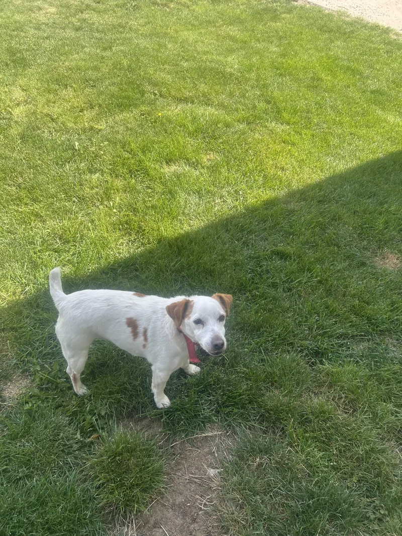Jack