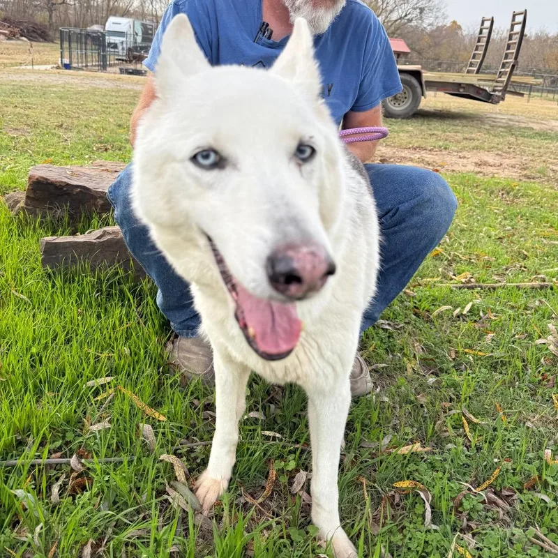 Madame Lucille Aka Lucy thumbnail 2