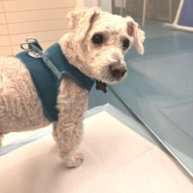 Paco Rabanne thumbnail 3