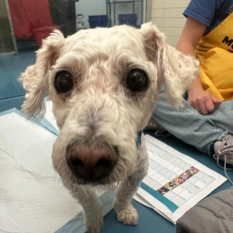 Paco Rabanne thumbnail 4