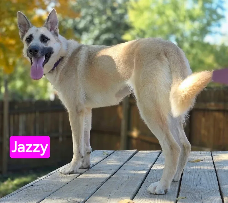 Jazzy thumbnail 5