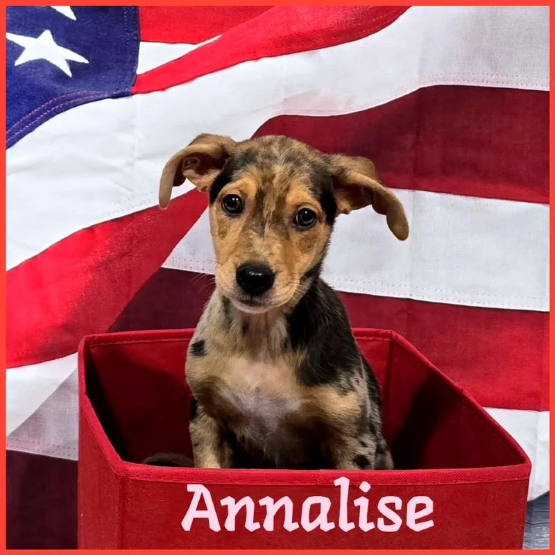Annalise thumbnail 3