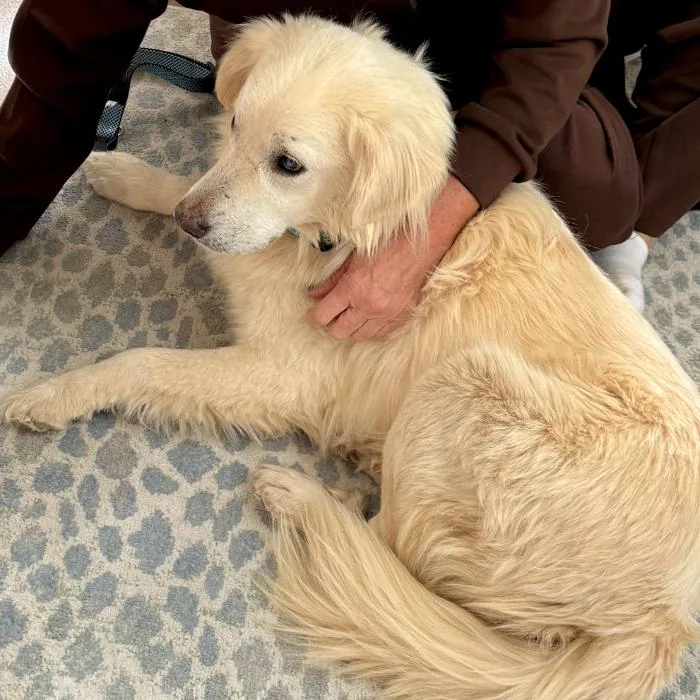 Max Theodore thumbnail 3