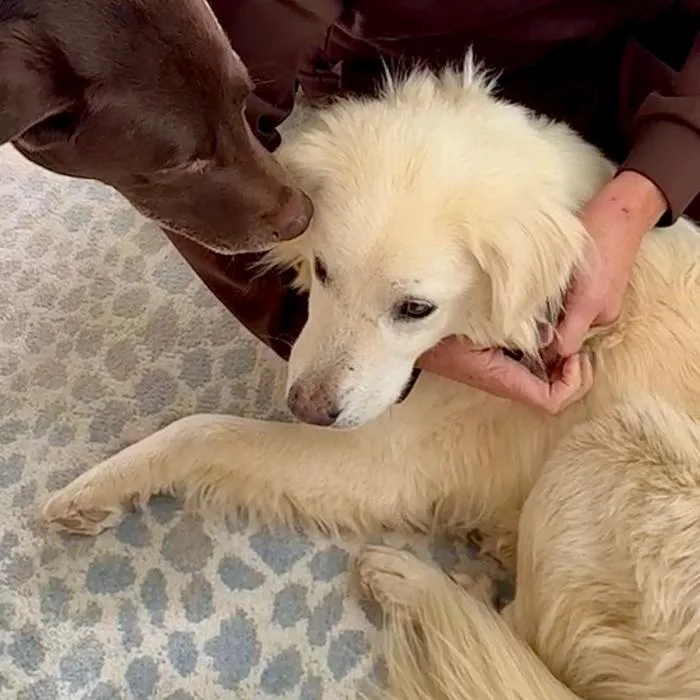 Max Theodore thumbnail 4