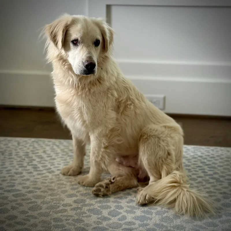 Max Theodore thumbnail 5