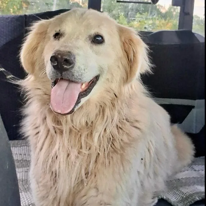 Max Theodore thumbnail 6