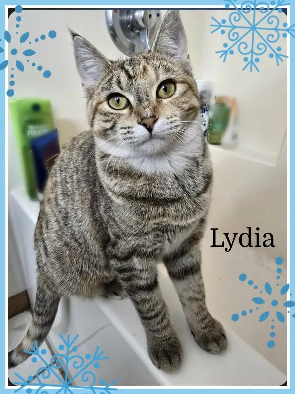 Lydia thumbnail 2