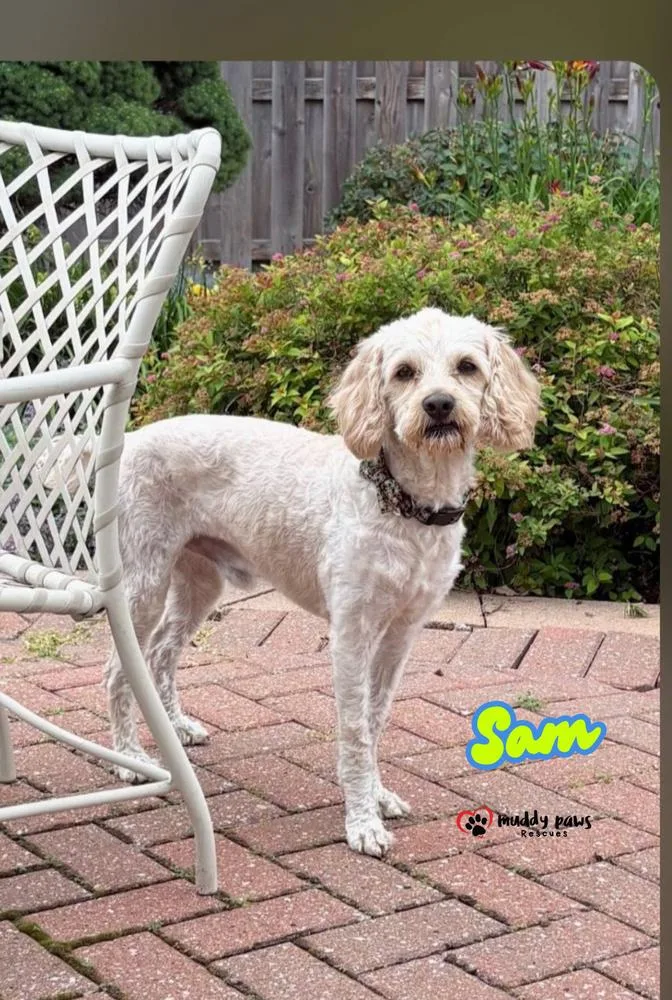 Sam