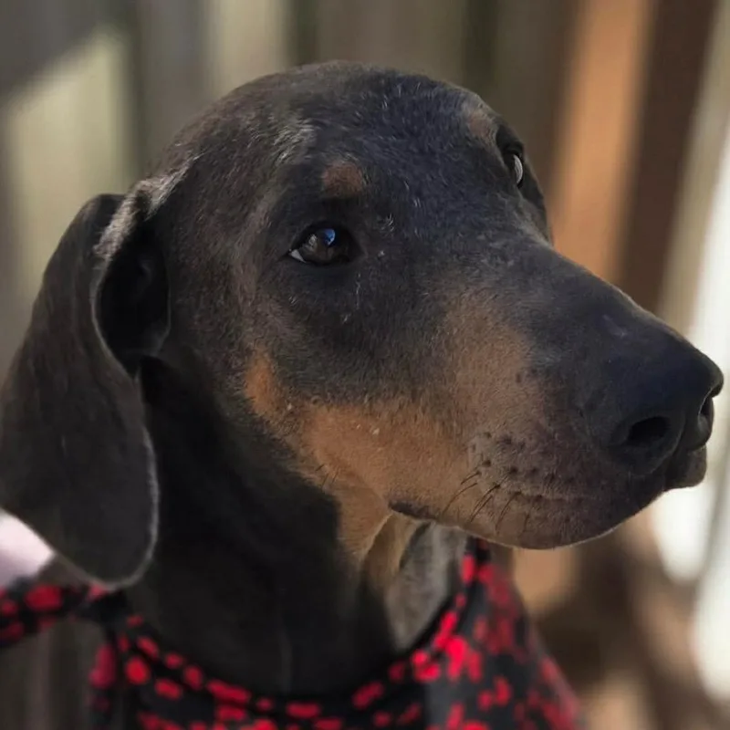 Zoe