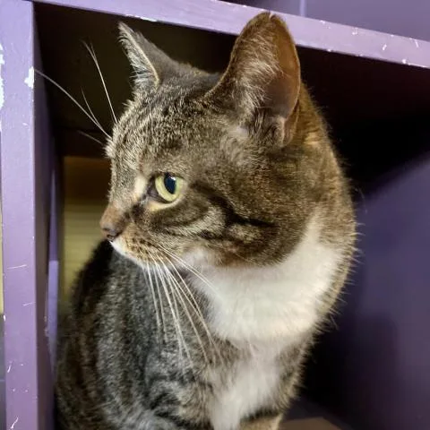 Snow White thumbnail 2