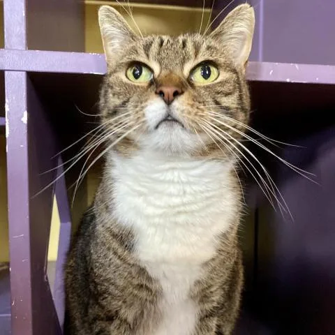 Snow White thumbnail 3