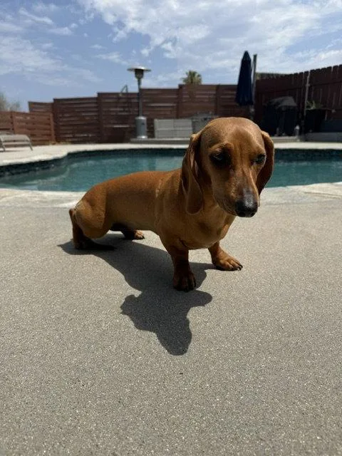 Maddie San Diego thumbnail 2