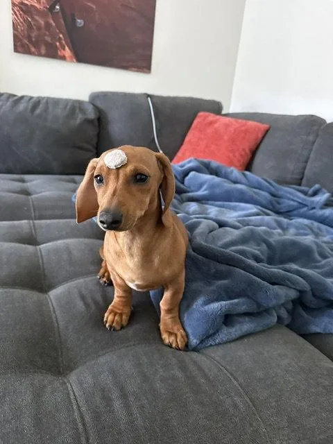 Maddie San Diego thumbnail 3