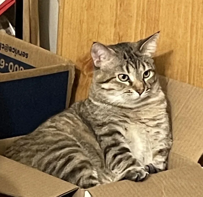 Mama Maribel thumbnail 2