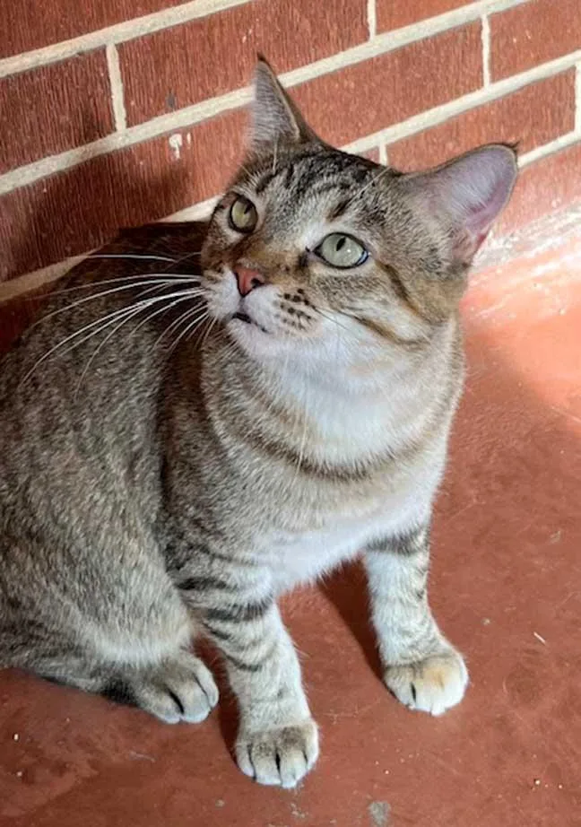 Mama Maribel thumbnail 3