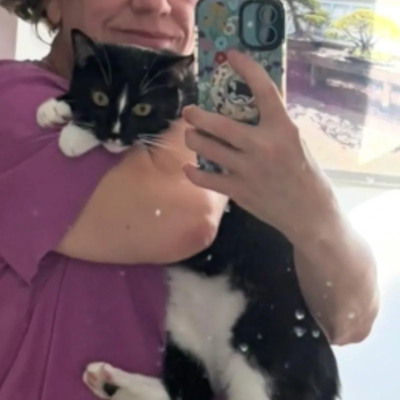 Harlequin thumbnail 2