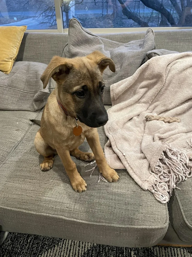 Beatrice thumbnail 2