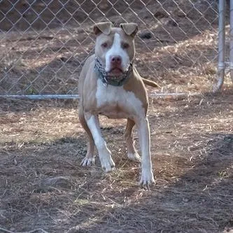 Livewire thumbnail 6