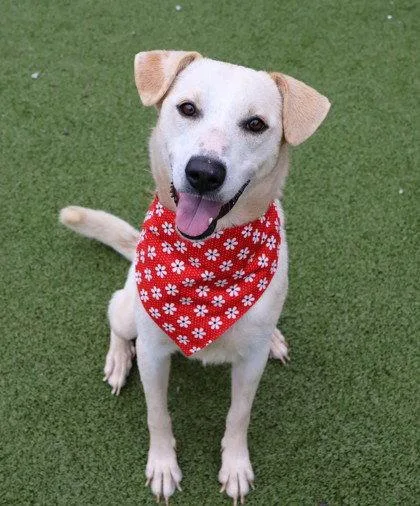 Lily Athens thumbnail 2