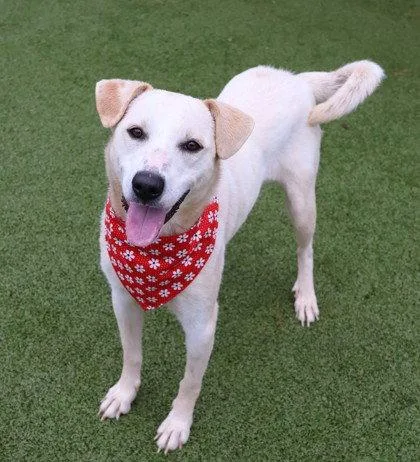 Lily Athens thumbnail 3