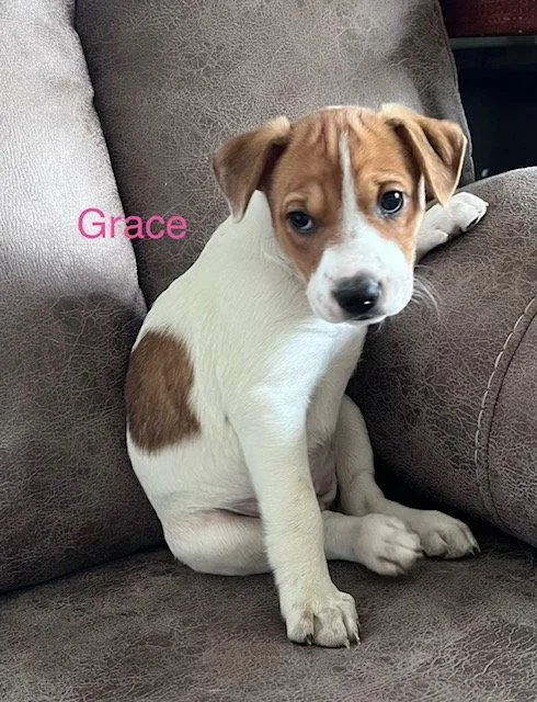 Grace thumbnail 2