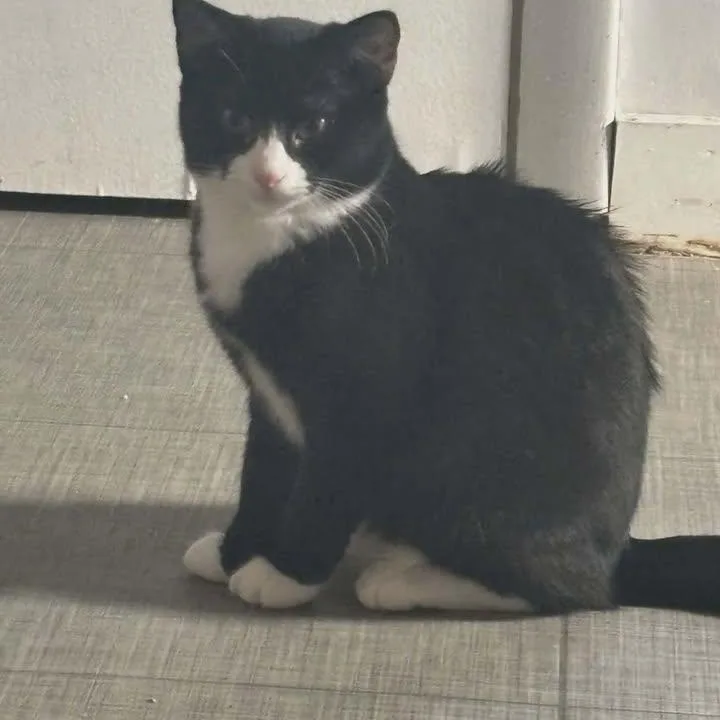 Boo & Foofy thumbnail 3