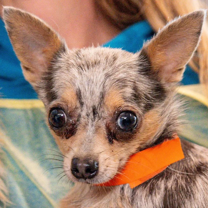 Danielle thumbnail 3