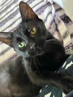 Mavis thumbnail 2