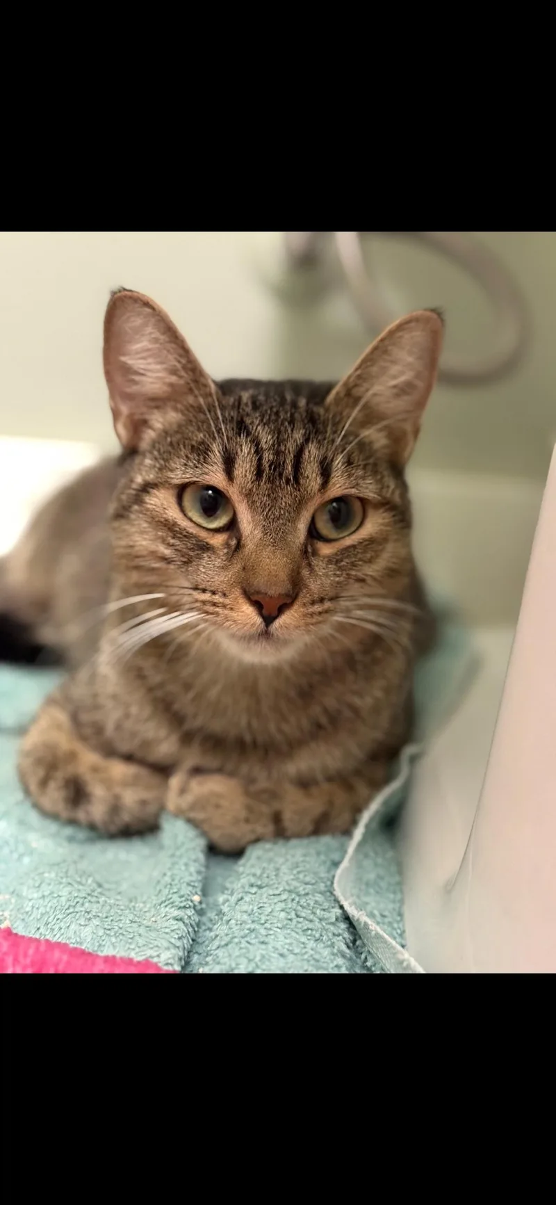 Daleyza Ort thumbnail 2