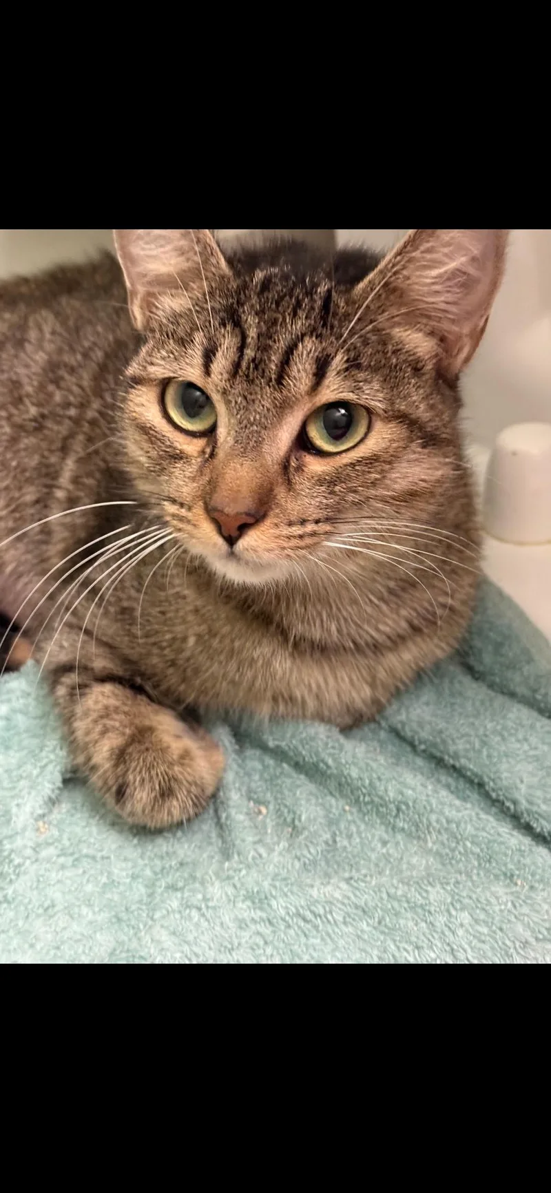 Daleyza Ort thumbnail 5