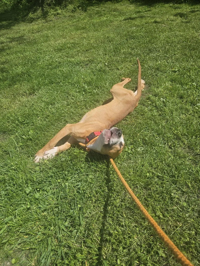 Hercules thumbnail 3