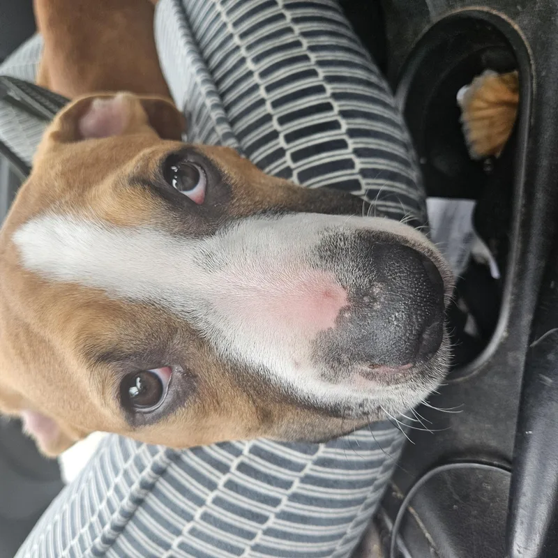 Hercules thumbnail 4