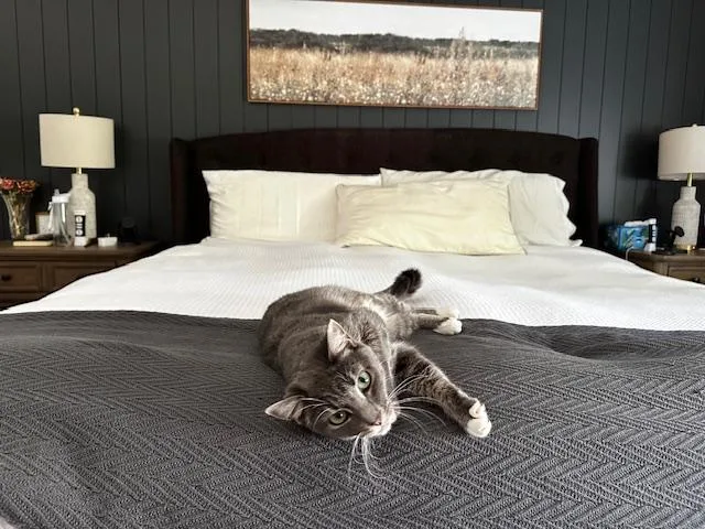 Lydia  Female  thumbnail 4