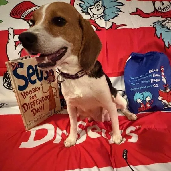 Cindy Lou thumbnail 4