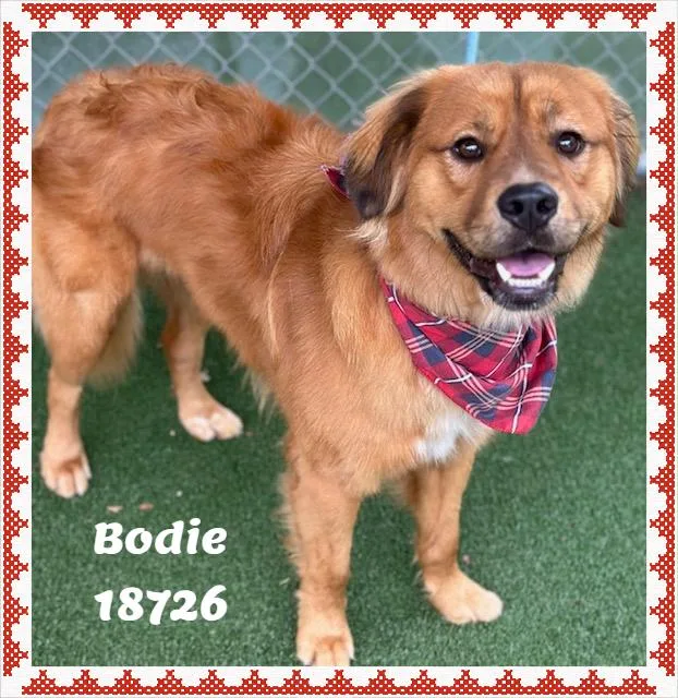 Bodie thumbnail 5