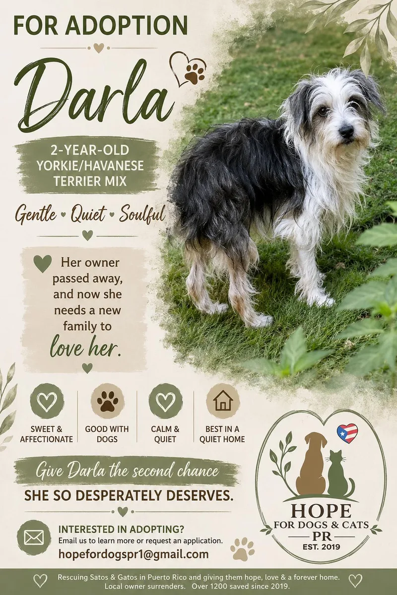 Darla thumbnail 2