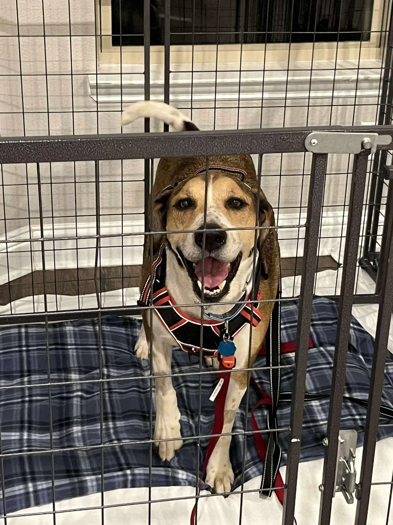 Big Jake thumbnail 3