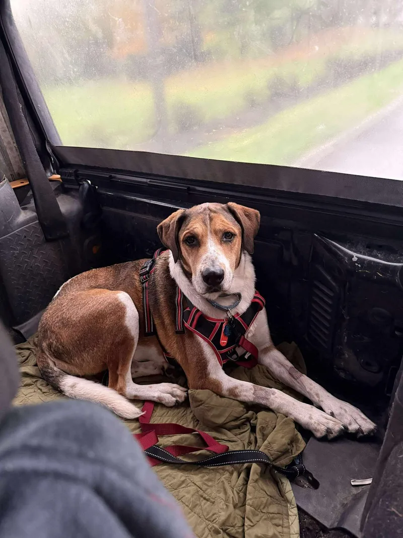 Big Jake thumbnail 5