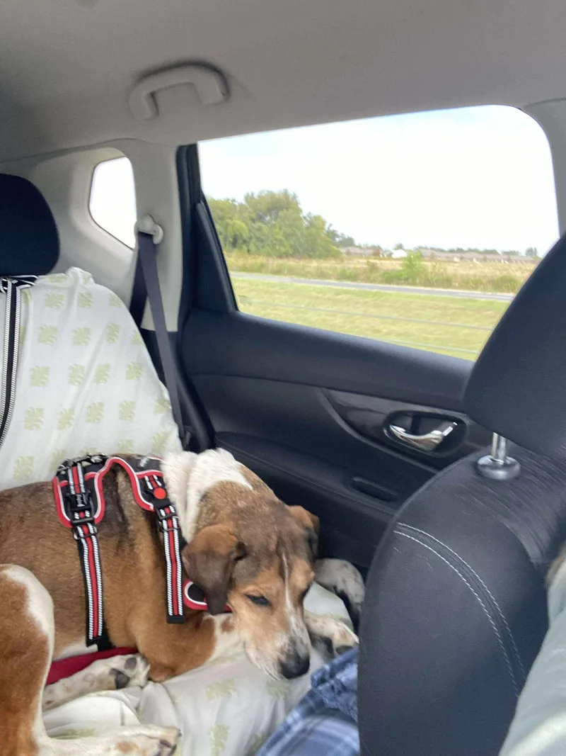 Big Jake thumbnail 6