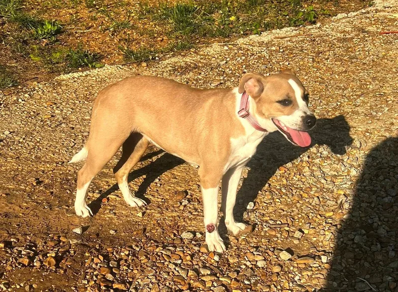 Fallon Ss In Ms thumbnail 2