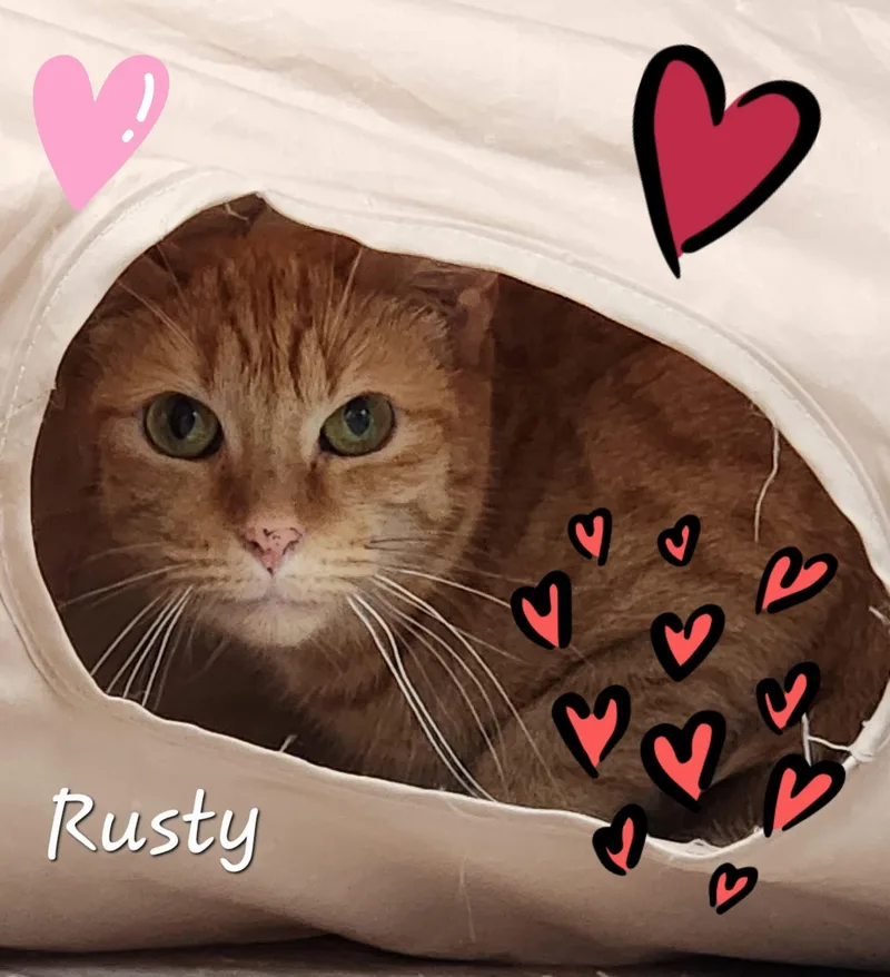 Rusty thumbnail 2