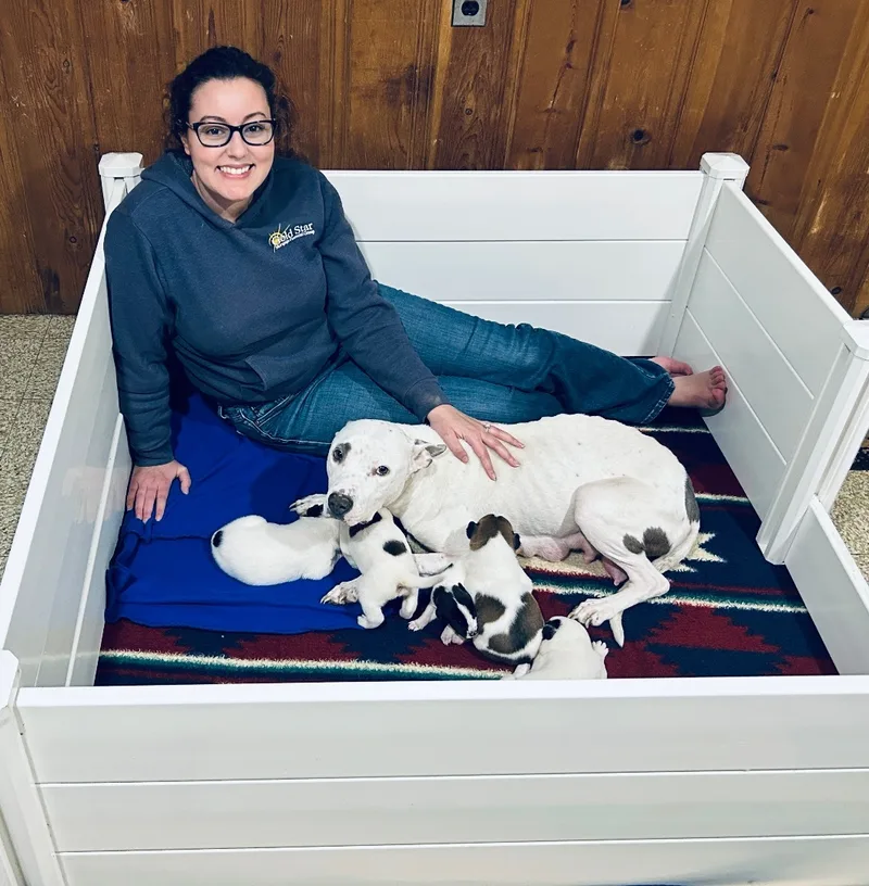 Milkmaid thumbnail 4