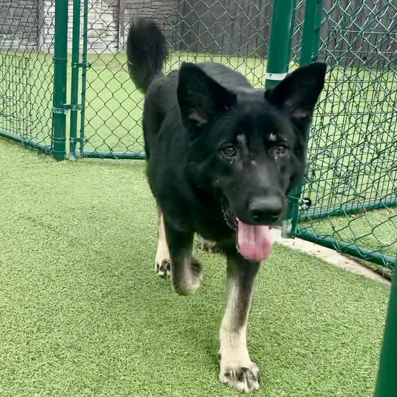 Floppy