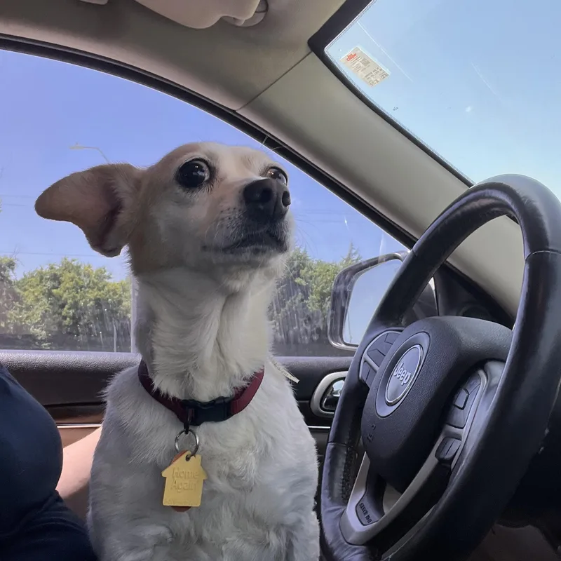 Darla