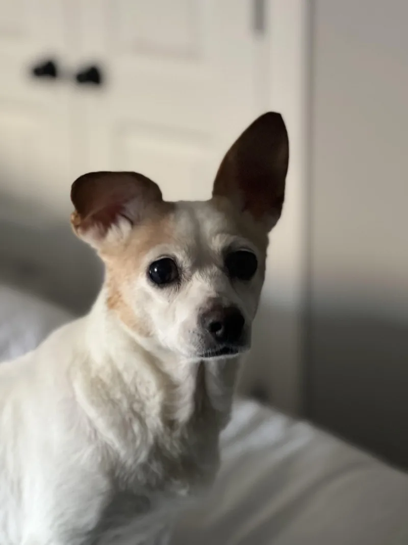 Darla thumbnail 5