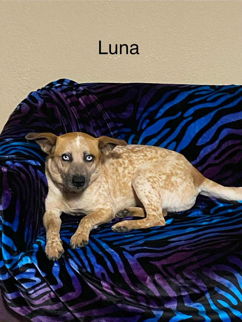 Luna